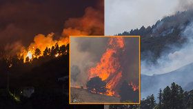 Rozsáhlé lesní požáry zasáhly ostrov Gran Canaria
