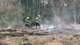 Vyprahlému Česku hrozí požáry, varují meteorologové. Oheň rozfouká čerstvý vítr