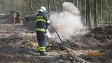 U Hostěnic hoří les: Na místě zasahuje 50 hasičů! Požárů v přírodě rapidně přibývá