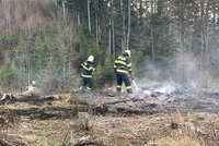 Vyprahlému Česku hrozí požáry, varují meteorologové. Oheň rozfouká čerstvý vítr