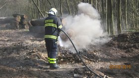Hasiči ročně vyjíždějí k více jak 1 500 požárům způsobených pálením biologického odpadu nebo rozdělávaní ohně v lesích a na zahradách. Ilustrační foto