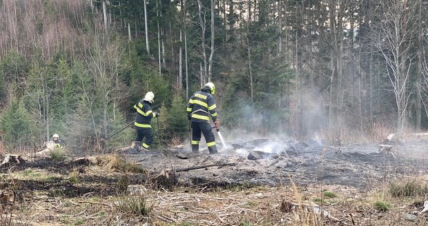 Vyprahlému Česku hrozí požáry, varují meteorologové. Oheň rozfouká čerstvý vítr