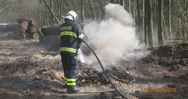 Hasiči ročně vyjíždějí k více jak 1 500 požárům způsobených pálením biologického odpadu nebo rozdělávaní ohně v lesích a na zahradách. Ilustrační foto