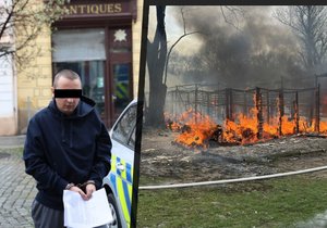 Vojtěch D. (30) zapálil stáje na Císařském ostrově, způsobil tím smrt několika koní.