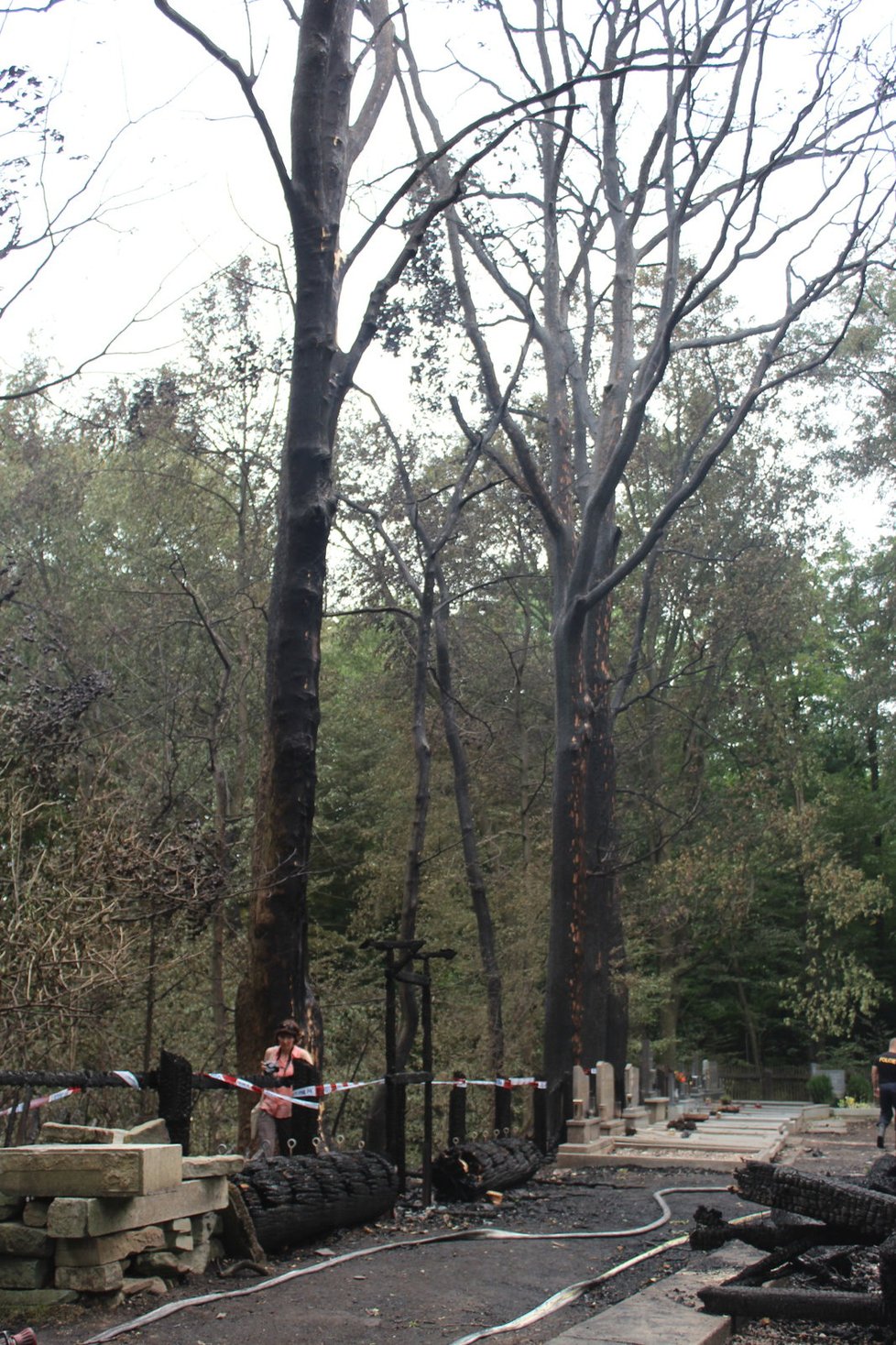 Plameny začaly olizovat i některé okolní stromy.