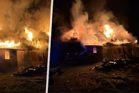 Masivní požár rodinného domu v Krásné Lípě: Tři lidé se zranili!