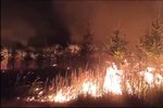 Se dvěma lesními požáry bojovali hasiči v Býkovicích na Blanensku.