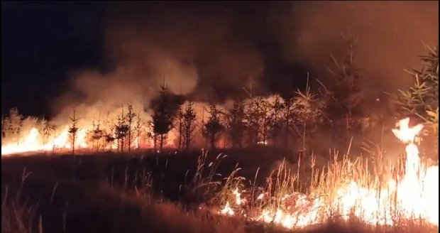 Se dvěma lesními požáry bojovali hasiči v Býkovicích na Blanensku.