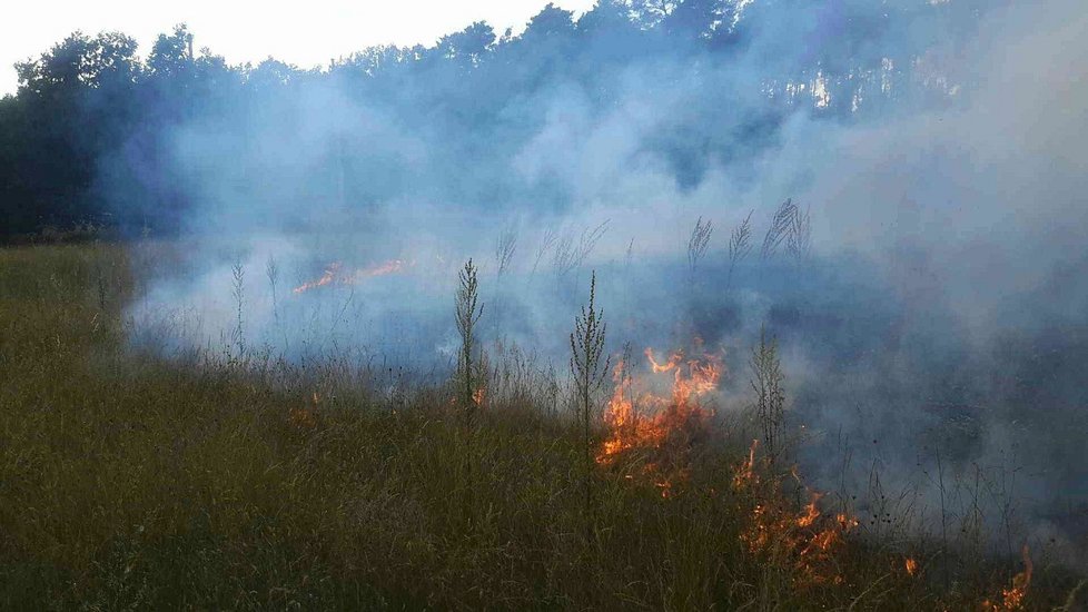 Zvláštní stupeň požárního poplachu vyhlásili hasiči ve čtvrtek kvůli požáru trávy a lesa u Bzence.