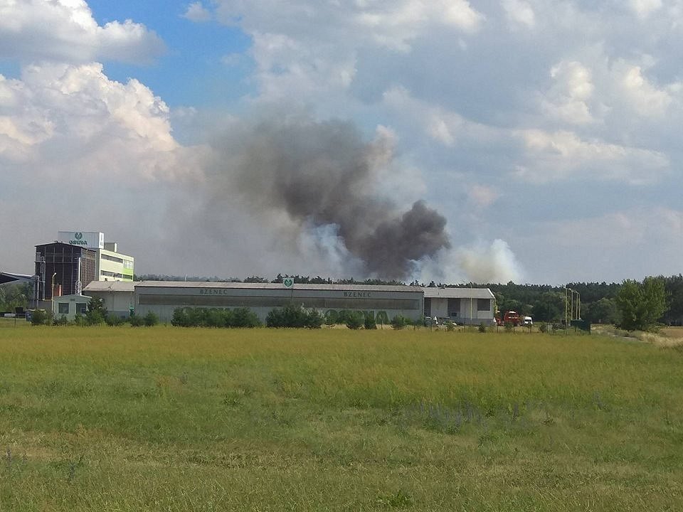 Zvláštní stupeň požárního poplachu vyhlásili hasiči ve čtvrtek kvůli požáru trávy a lesa u Bzence.