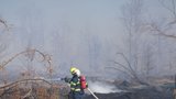 18 hektarů lesa v plamenech: Dělníci neuhlídali vítr, hasiči krotili požár devět hodin