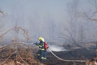 18 hektarů lesa v plamenech: Dělníci neuhlídali vítr, hasiči krotili požár devět hodin
