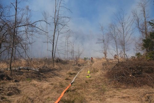 Devět hodin hasili hasiči u Dětřichova nad Bystřicí rozsáhlý požár lesního porostu.