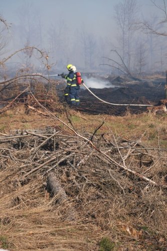 Devět hodin hasili hasiči u Dětřichova nad Bystřicí rozsáhlý požár lesního porostu.