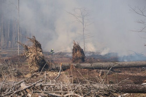 Devět hodin hasili hasiči u Dětřichova nad Bystřicí rozsáhlý požár lesního porostu.