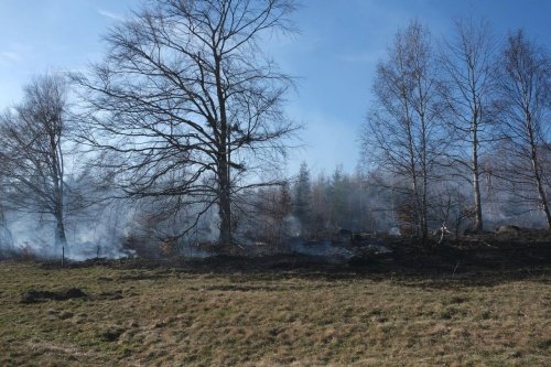 Devět hodin hasili hasiči u Dětřichova nad Bystřicí rozsáhlý požár lesního porostu.