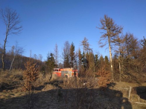 Devět hodin hasili hasiči u Dětřichova nad Bystřicí rozsáhlý požár lesního porostu.