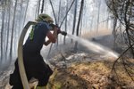 V pondělí vyjížděli hasiči k nejvíc požárům za posledních pět let, bylo jich 199. Na vině jsou vedra, normálně je denní průměr kolem 50 požárů.