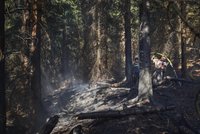 V lese na Blanensku uhořel mladý muž: Byla to sebevražda?