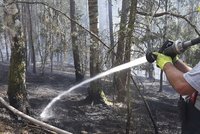 Velký požár lesa na Plzeňsku: S ohněm bojovaly desítky hasičů