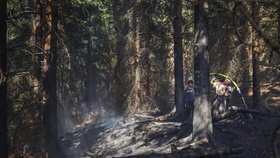 Dalším nebezpečným faktorem je lidské nedbalost. Ve většině krajů platí zákaz rozdělávání ohňů či pořádání ohňostrojů.