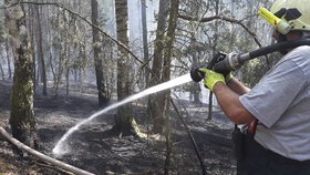 Velký požár lesa na Plzeňsku: S ohněm bojovaly desítky hasičů