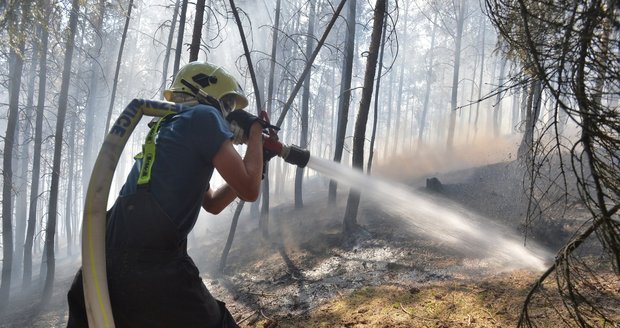 Největší počet požárů za pět let: V pondělí hořelo na 199 místech