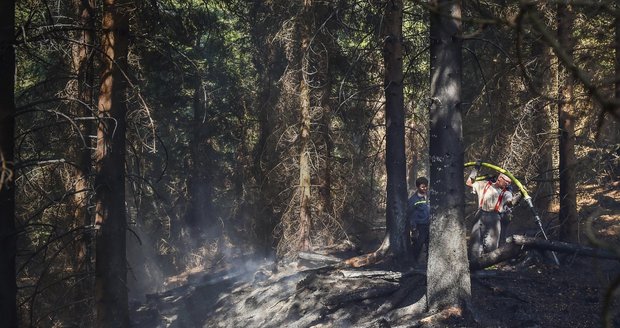 V lese na Blanensku uhořel mladý muž: Byla to sebevražda?