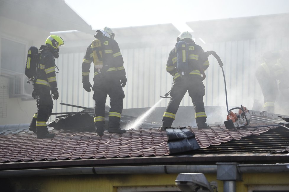 V pondělí vyjížděli hasiči k nejvíc požárům za posledních pět let, bylo jich 199. Na vině jsou vedra, normálně je denní průměr kolem 50 požárů.