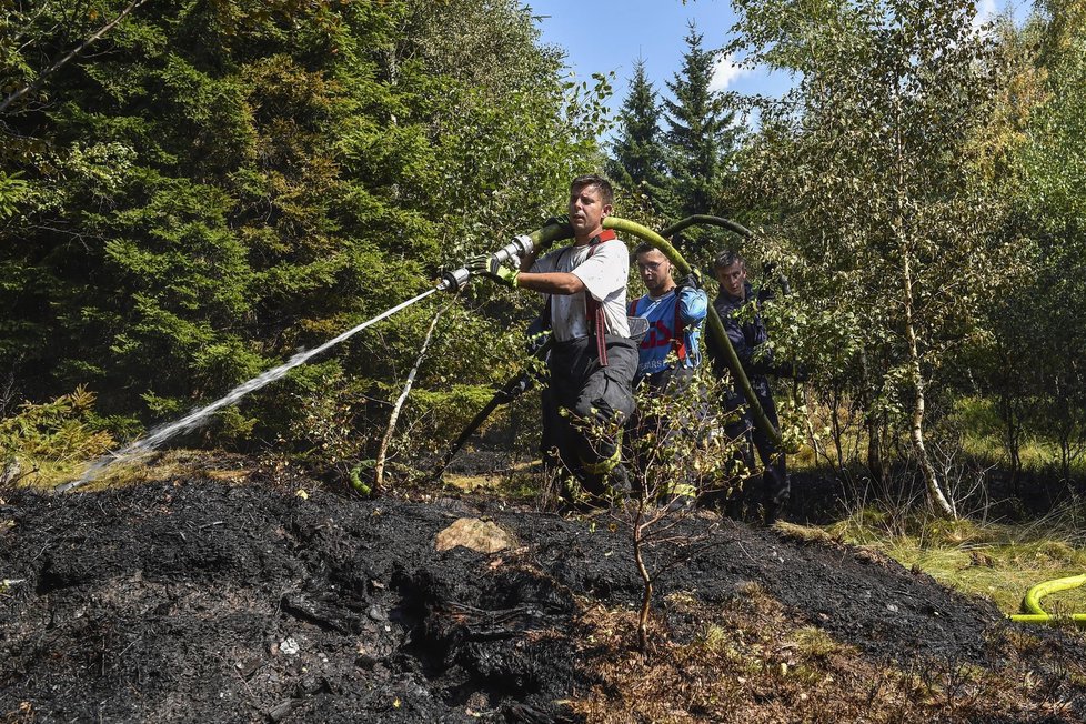 Dalším nebezpečným faktorem je lidská nedbalost. Ve většině krajů platí zákaz rozdělávání ohňů či pořádání ohňostrojů.