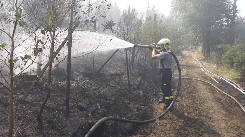 Rozsáhlý požár lesa na Plzeňsku