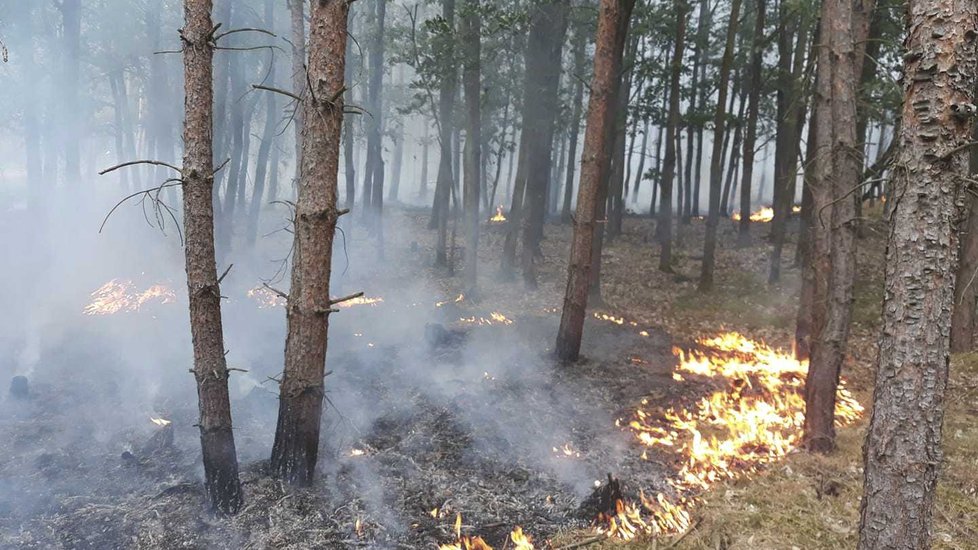 Rozsáhlý požár lesa na Plzeňsku