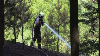 Na Plzeňsku hoří les, je vyhlášený nejvyšší stupeň pohotovosti 