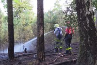 Ničivé požáry na Kokořínsku: Hasiči vyhlásili nejvyšší stupeň poplachu, škody budou nedozírné