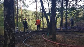 Na Mělnicku hoří Vrátenská hora: Hasiči vyhlásili nejvyšší stupeň poplachu