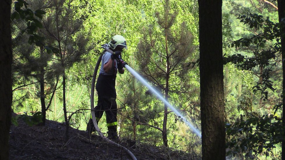 Na Mělnicku hoří Vrátenská hora: Hasiči vyhlásili nejvyšší stupeň poplachu