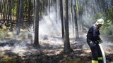 Česko ohrožují požáry, varují meteorologové. Může za ně extrémní teplo