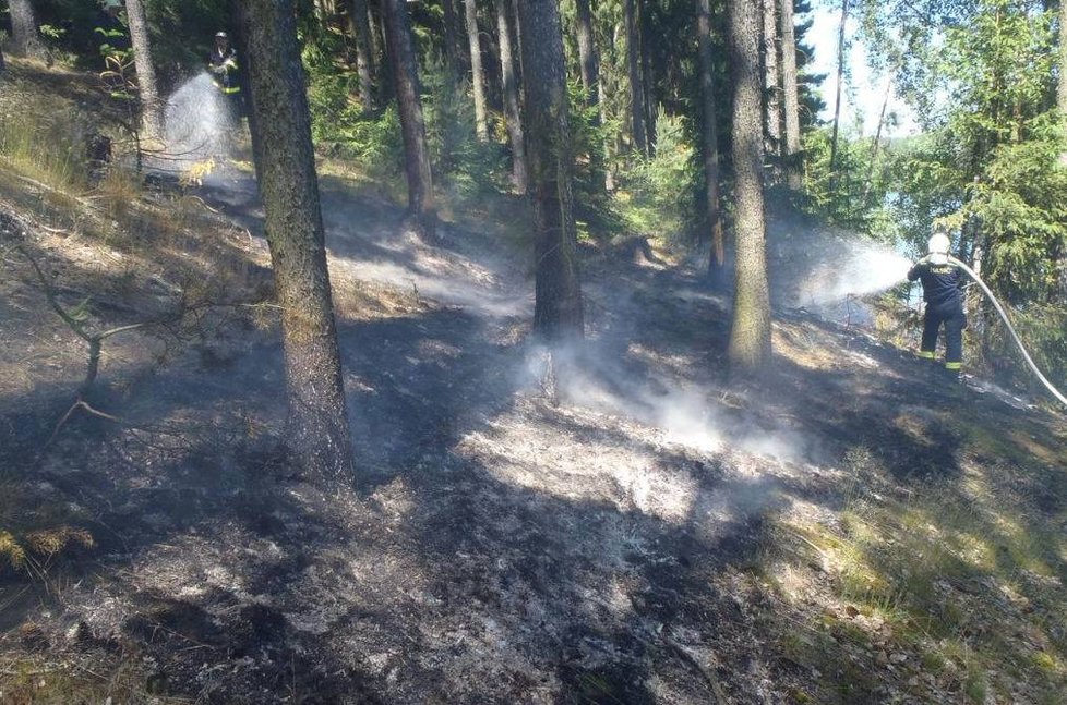 Hasiči bojovali s požárem hrabanky u Hracholuské přehrady.