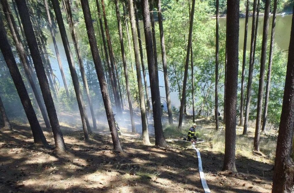 Hasiči bojovali s požárem hrabanky u Hracholuské přehrady.