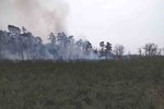 V Moravské Sahaře hořel les. Hasiči s ohněm bojovali 12 hodin.