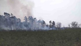 V Moravské Sahaře hořel les. Hasiči s ohněm bojovali 12 hodin.