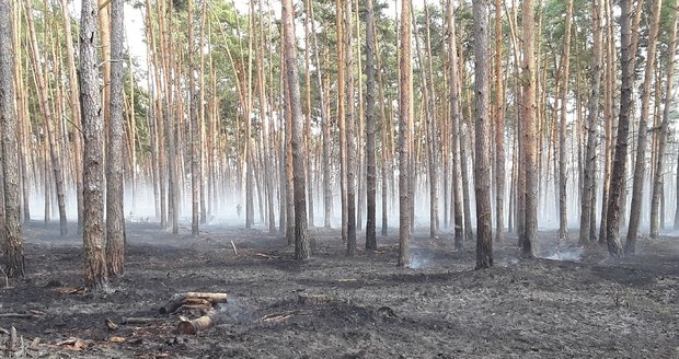 V Moravské Sahaře hořel les. Hasiči s ohněm bojovali 12 hodin.