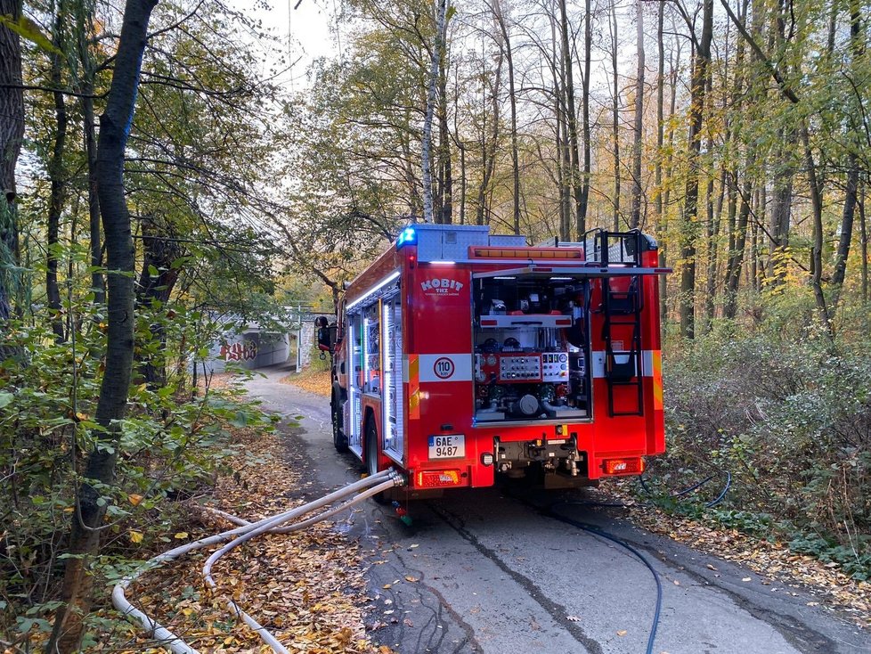 V pražském Motole hořel les.