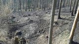Jižní Moravu decimuje další lesní požár: U Oslavan vyhlásili nejvyšší stupeň ohrožení