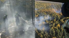 Požár lesa (ilustrační foto)