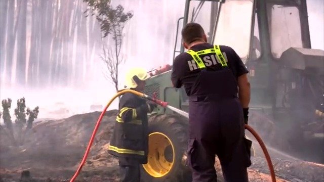 Požár lesa ve slovenském Záhoří.