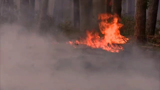 Požár lesa ve slovenském Záhoří