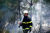 Požár zničil šest hektarů lesa, hasily i vrtulníky