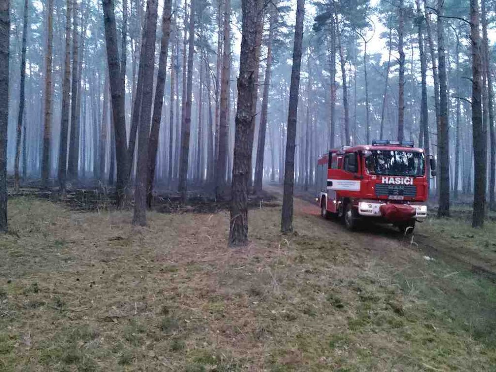U Vracova na Hodonínsku začal v úterý kolem 21. hodiny hořet les. Hasiči s ohněm bojovali celou noc. Ohniska dohašují ještě i po 15 hodinách.