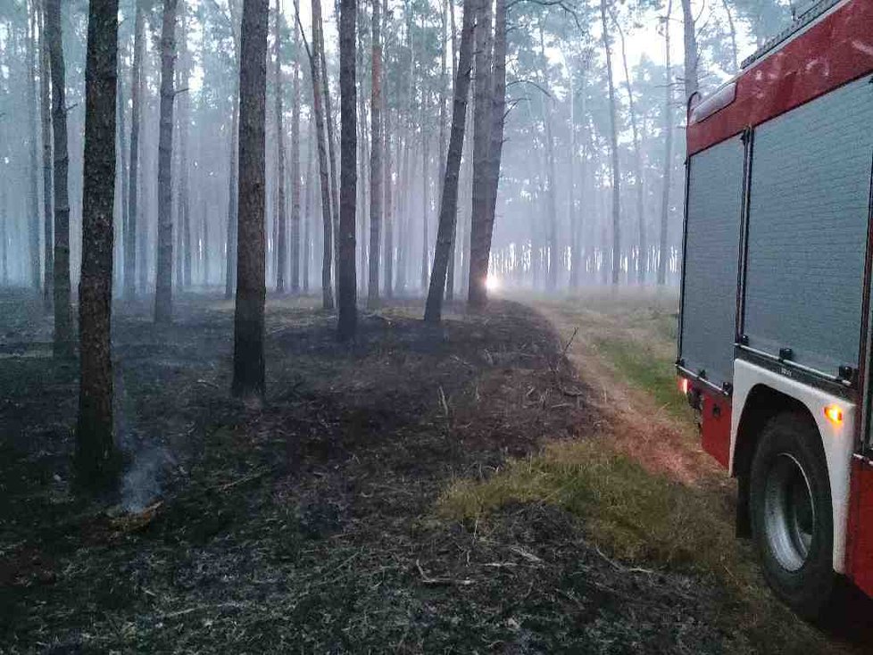 U Vracova na Hodonínsku začal v úterý kolem 21. hodiny hořet les. Hasiči s ohněm bojovali celou noc. Ohniska dohašují ještě i po 15 hodinách.